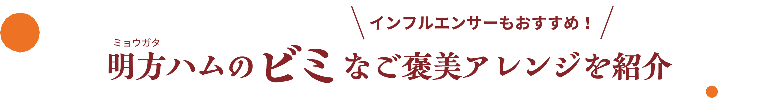 インフルエンサーもおすすめ！明方ハムのビミなご褒美アレンジを紹介