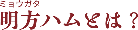 明方ハムとは？